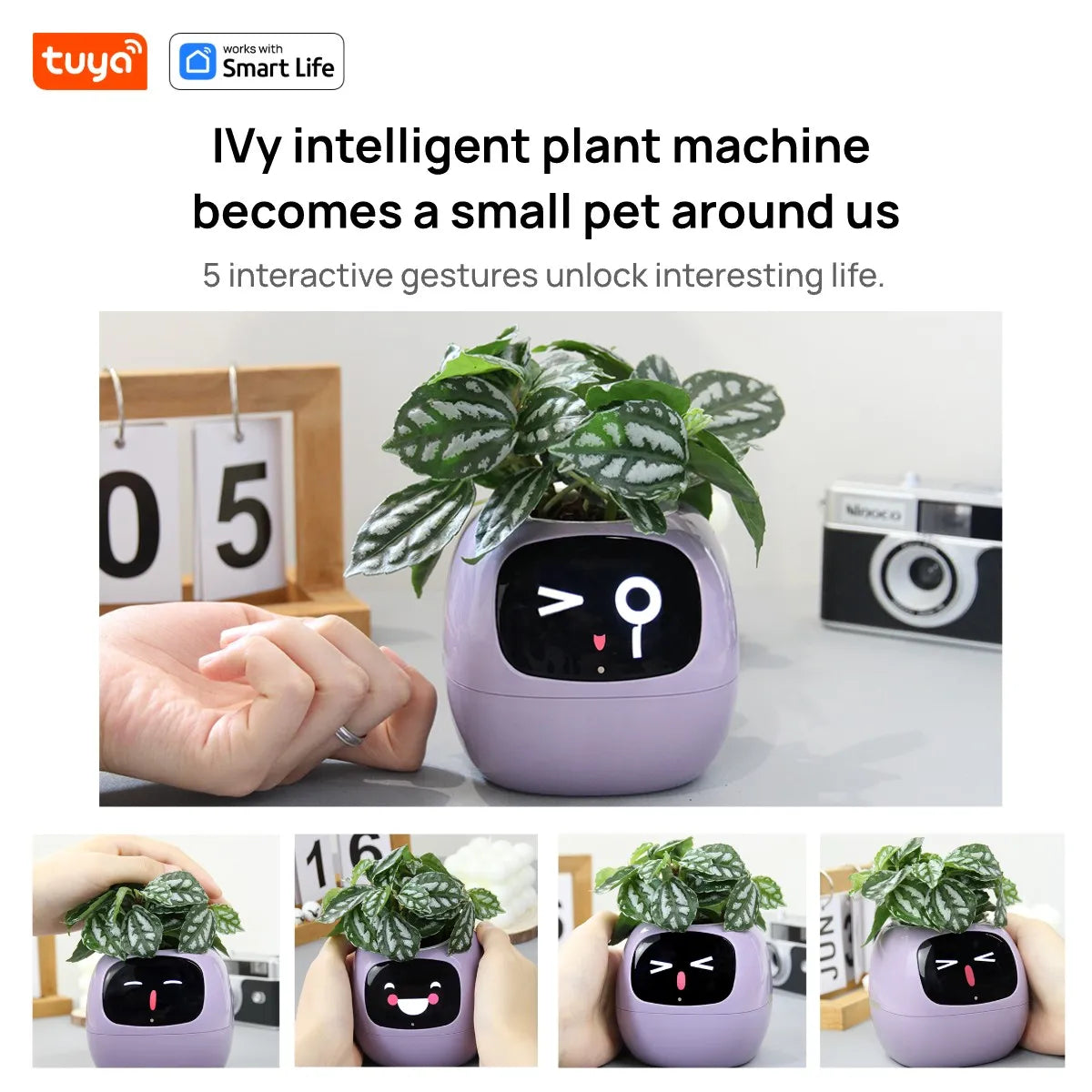 HomeBedBath™️ Smart Planter