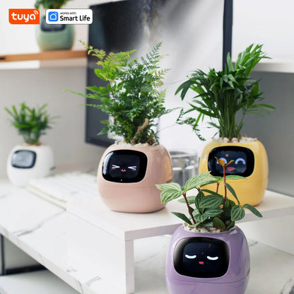 HomeBedBath™️ Smart Planter