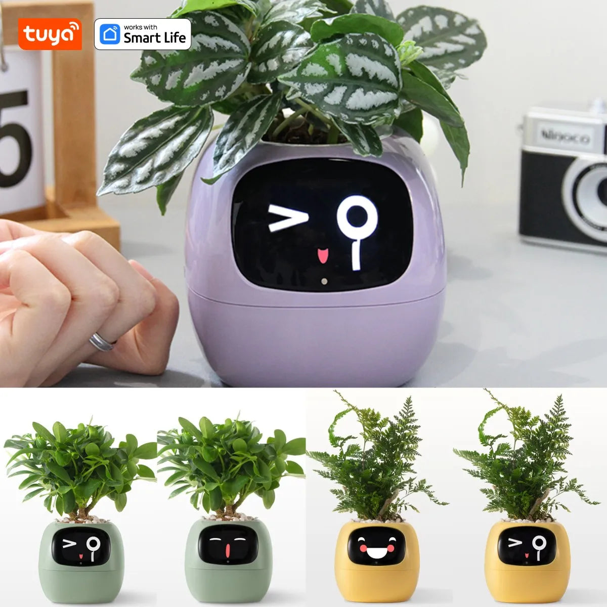 HomeBedBath™️ Smart Planter